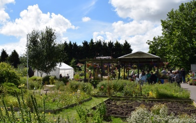 place, grow, green flag, garden