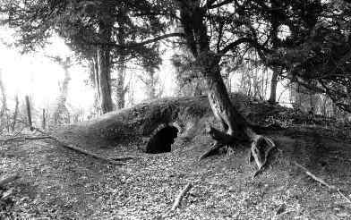 Blaby Ice House pictured in 1992