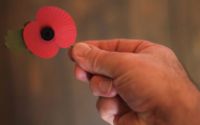 A picture of a poppy being held