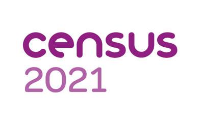 The logo of the 2021 Census