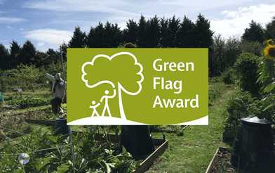 Green Flag 2