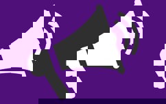 Blaby Consultation News Purple