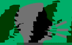 Blaby Consultation News Green