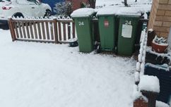 Snow covered bins