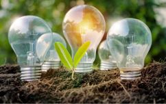 Lightbulbs and a sprouting plant